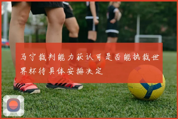 马宁裁判能力获认可是否能执裁世界杯待具体安排决定