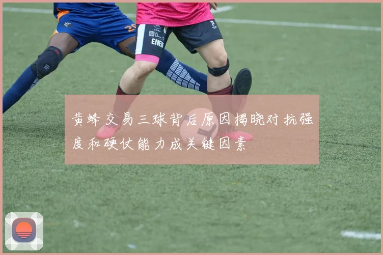黄蜂交易三球背后原因揭晓对抗强度和硬仗能力成关键因素